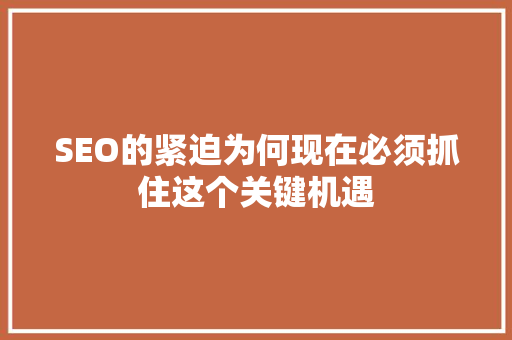 SEO的紧迫为何现在必须抓住这个关键机遇  第1张