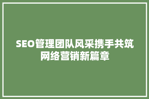SEO管理团队风采携手共筑网络营销新篇章