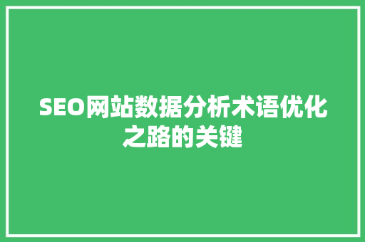 SEO网站数据分析术语优化之路的关键  第1张