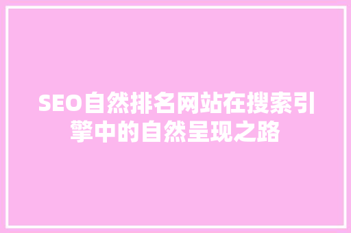 SEO自然排名网站在搜索引擎中的自然呈现之路  第1张