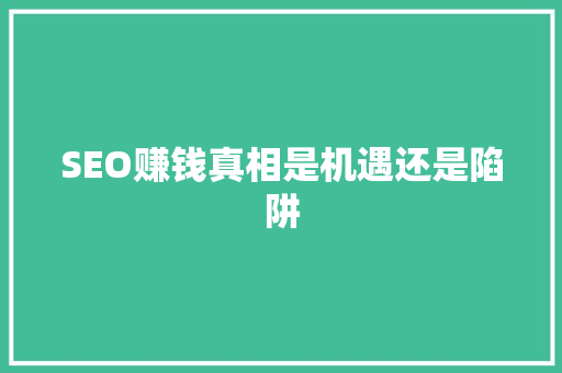SEO赚钱真相是机遇还是陷阱