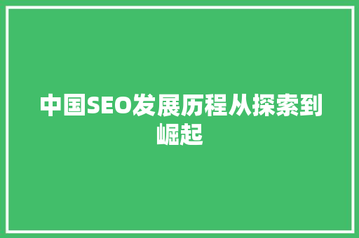 中国SEO发展历程从探索到崛起