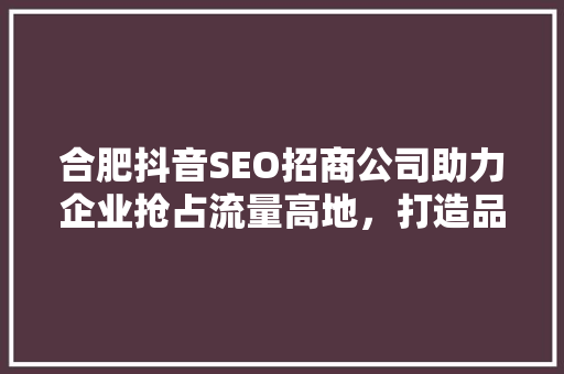 合肥抖音SEO招商公司助力企业抢占流量高地，打造品牌新生态