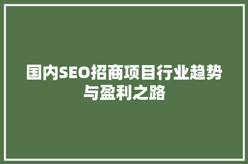国内SEO招商项目行业趋势与盈利之路