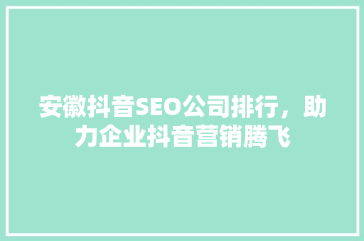 安徽抖音SEO公司排行，助力企业抖音营销腾飞