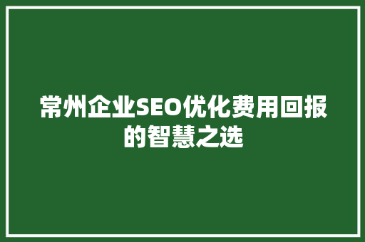 常州企业SEO优化费用回报的智慧之选