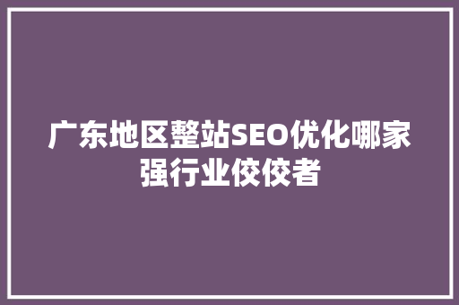 广东地区整站SEO优化哪家强行业佼佼者