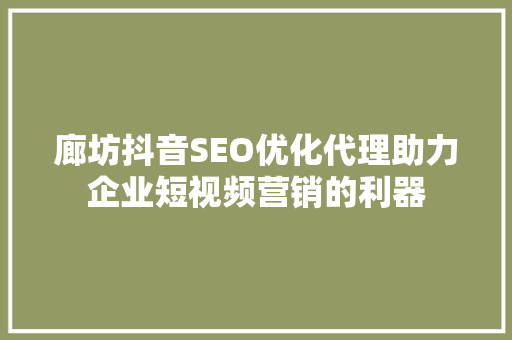 廊坊抖音SEO优化代理助力企业短视频营销的利器