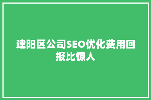 建阳区公司SEO优化费用回报比惊人