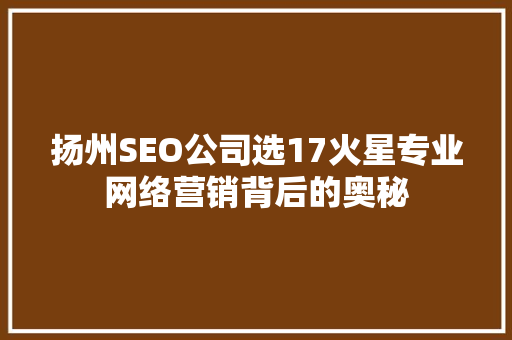 扬州SEO公司选17火星专业网络营销背后的奥秘