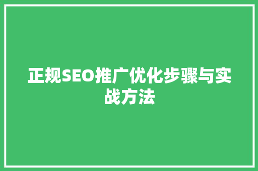 正规SEO推广优化步骤与实战方法