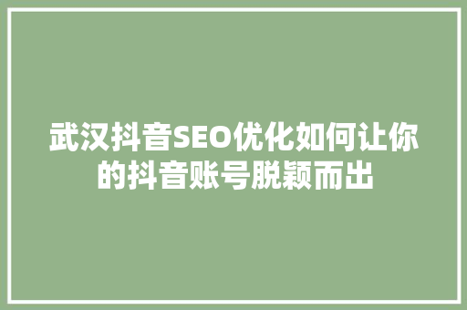 武汉抖音SEO优化如何让你的抖音账号脱颖而出  第1张
