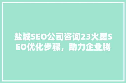 盐城SEO公司咨询23火星SEO优化步骤，助力企业腾飞
