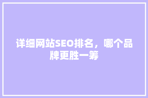 详细网站SEO排名，哪个品牌更胜一筹