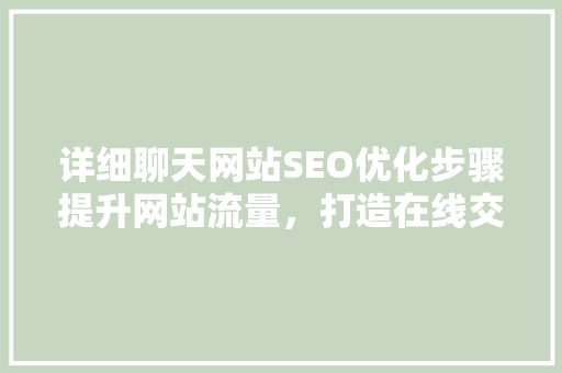 详细聊天网站SEO优化步骤提升网站流量，打造在线交流新生态