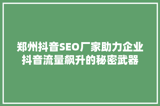 郑州抖音SEO厂家助力企业抖音流量飙升的秘密武器