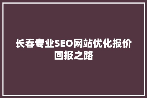 长春专业SEO网站优化报价回报之路