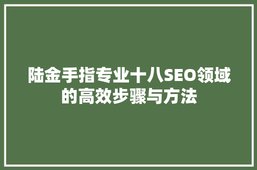 陆金手指专业十八SEO领域的高效步骤与方法