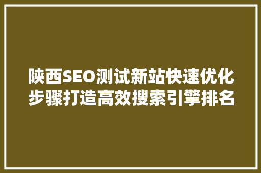 陕西SEO测试新站快速优化步骤打造高效搜索引擎排名之路