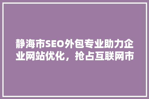 静海市SEO外包专业助力企业网站优化，抢占互联网市场先机