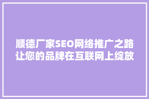 顺德厂家SEO网络推广之路让您的品牌在互联网上绽放光彩