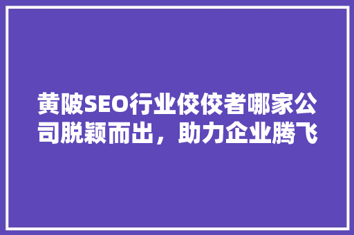 黄陂SEO行业佼佼者哪家公司脱颖而出，助力企业腾飞