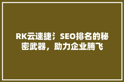 RK云速捷氵SEO排名的秘密武器，助力企业腾飞