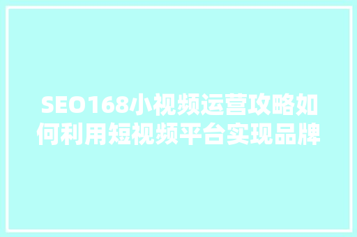 SEO168小视频运营攻略如何利用短视频平台实现品牌价值最大化