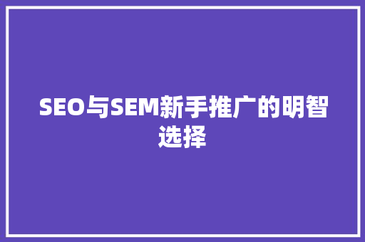 SEO与SEM新手推广的明智选择