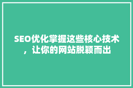SEO优化掌握这些核心技术，让你的网站脱颖而出  第1张