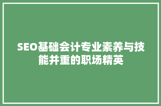 SEO基础会计专业素养与技能并重的职场精英
