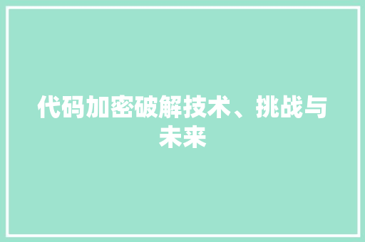 代码加密破解技术、挑战与未来