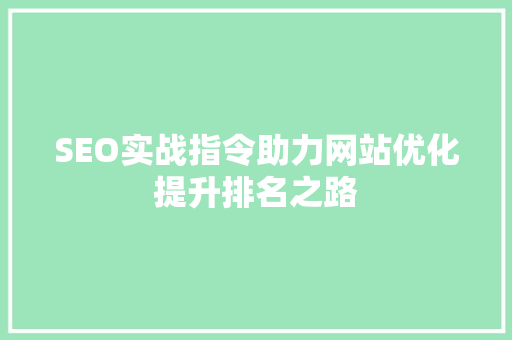 SEO实战指令助力网站优化提升排名之路