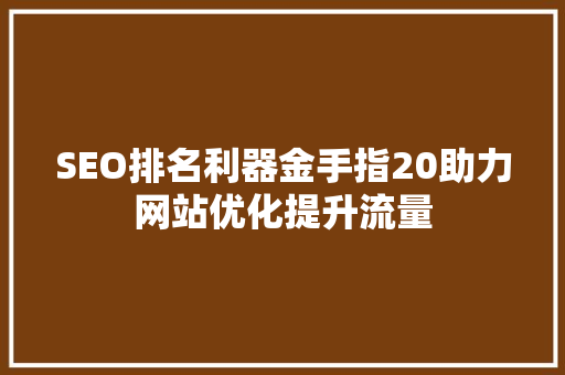 SEO排名利器金手指20助力网站优化提升流量