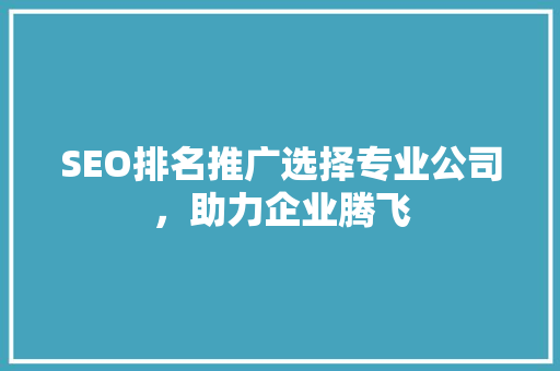 SEO排名推广选择专业公司，助力企业腾飞