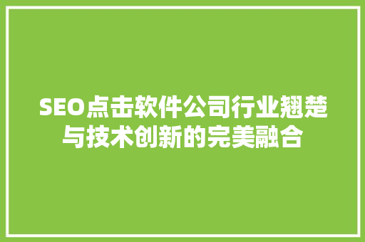 SEO点击软件公司行业翘楚与技术创新的完美融合
