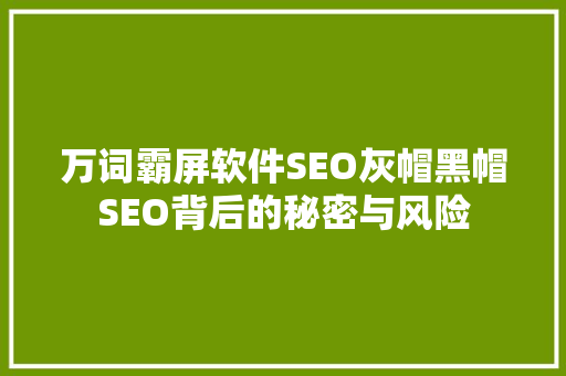 万词霸屏软件SEO灰帽黑帽SEO背后的秘密与风险