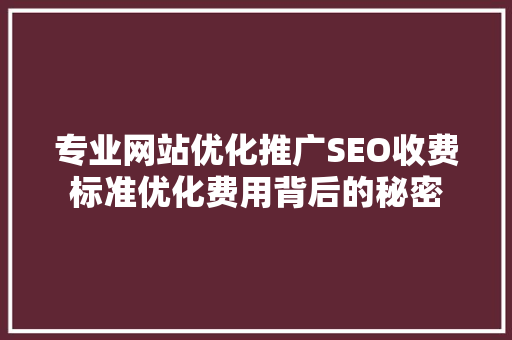 专业网站优化推广SEO收费标准优化费用背后的秘密