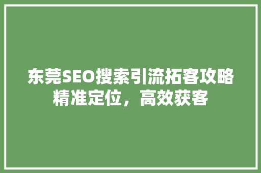 东莞SEO搜索引流拓客攻略精准定位，高效获客