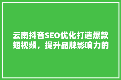 云南抖音SEO优化打造爆款短视频，提升品牌影响力的秘密武器