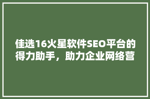 佳选16火星软件SEO平台的得力助手，助力企业网络营销腾飞