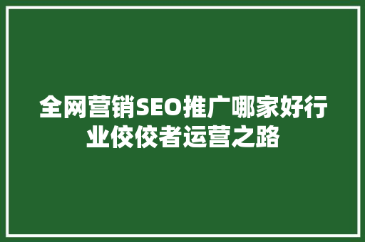 全网营销SEO推广哪家好行业佼佼者运营之路