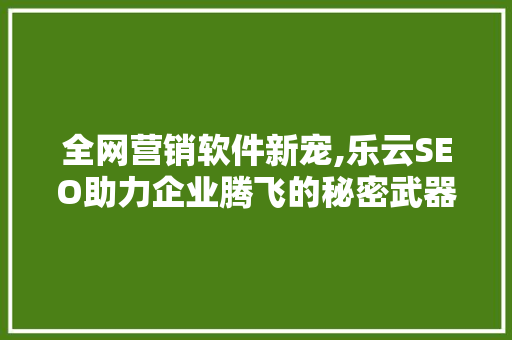全网营销软件新宠,乐云SEO助力企业腾飞的秘密武器