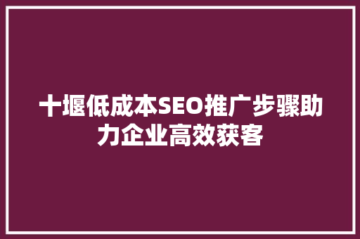 十堰低成本SEO推广步骤助力企业高效获客