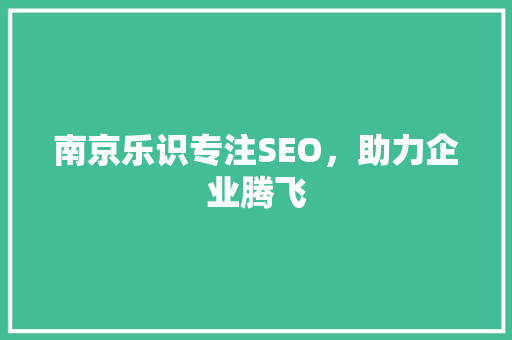 南京乐识专注SEO，助力企业腾飞