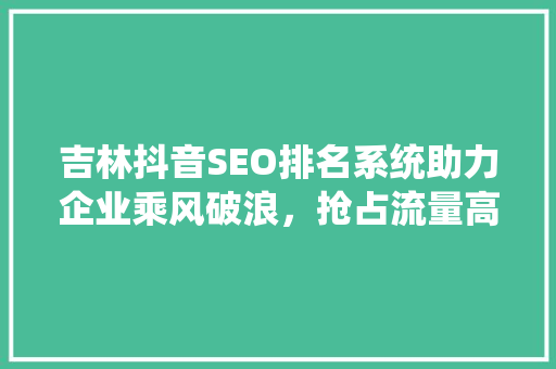 吉林抖音SEO排名系统助力企业乘风破浪，抢占流量高地