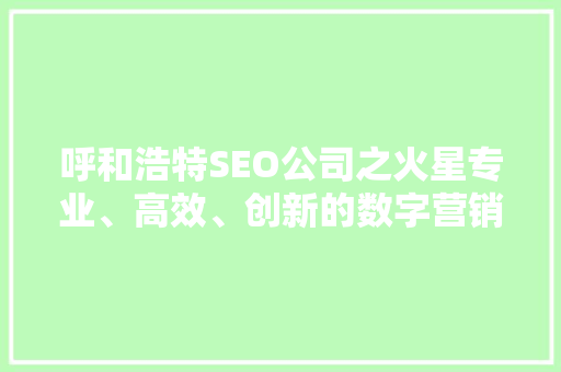 呼和浩特SEO公司之火星专业、高效、创新的数字营销领航者