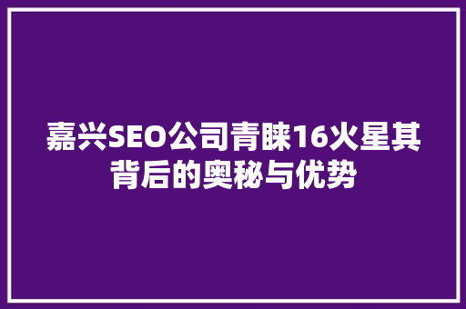 嘉兴SEO公司青睐16火星其背后的奥秘与优势
