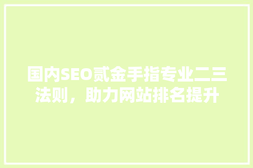 国内SEO贰金手指专业二三法则，助力网站排名提升