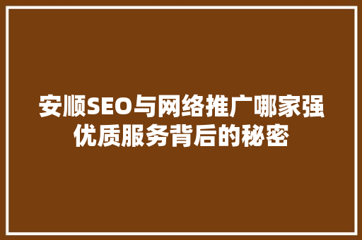 安顺SEO与网络推广哪家强优质服务背后的秘密